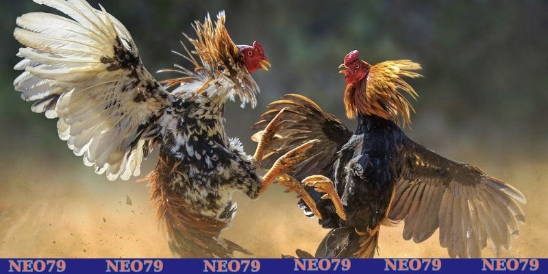 Áp dụng mẹo tăng khả năng 