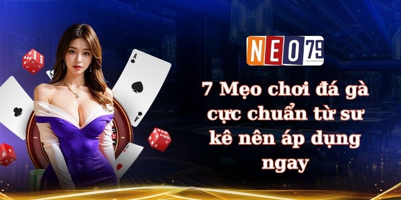 Mẹo chơi đá gà